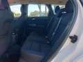 Volvo V50 1.6d drive Polar s NEOPATENTATI cinghia nuova Alb - thumbnail 13