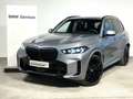 BMW X5 X5 xDrive30d Gris - thumbnail 1