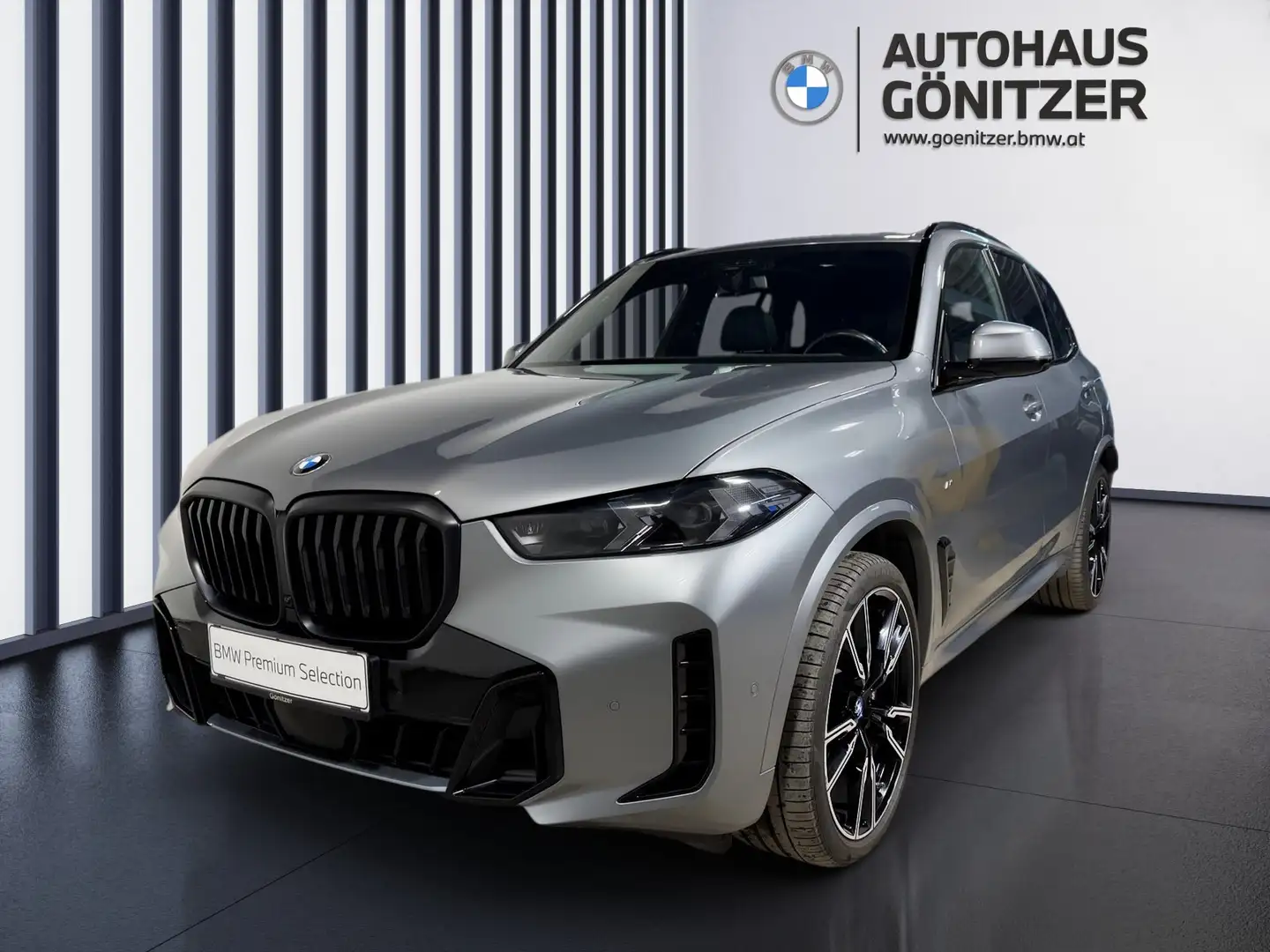 BMW X5 xDrive30d Gris - 1