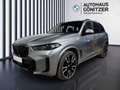 BMW X5 xDrive30d Gris - thumbnail 2