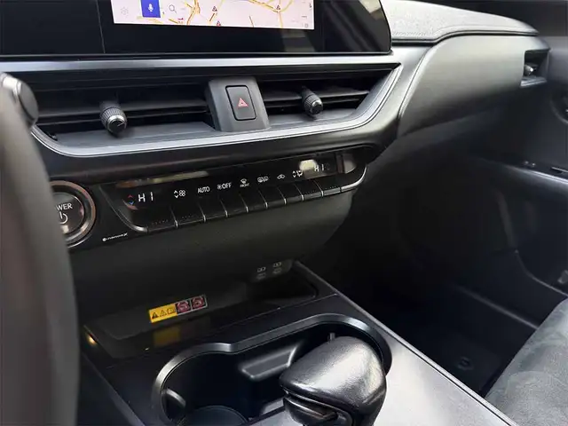 Lexus UX view 17