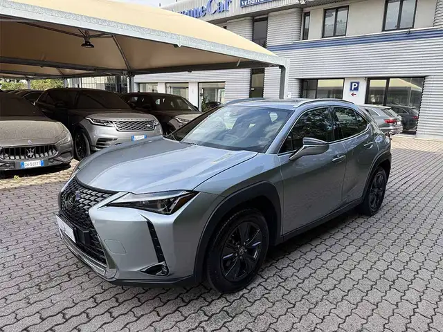 2022 Lexus UX in Grey for sale