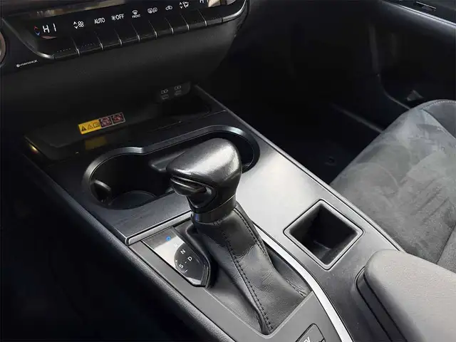 Lexus UX view 16