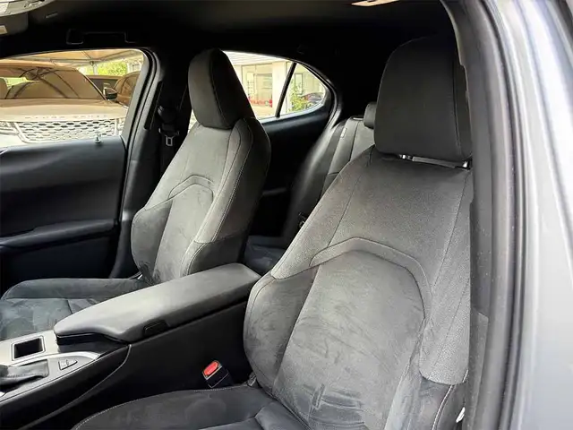 Lexus UX view 23