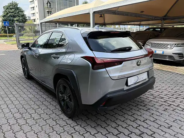Lexus UX view 7