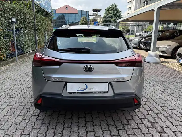Lexus UX view 6