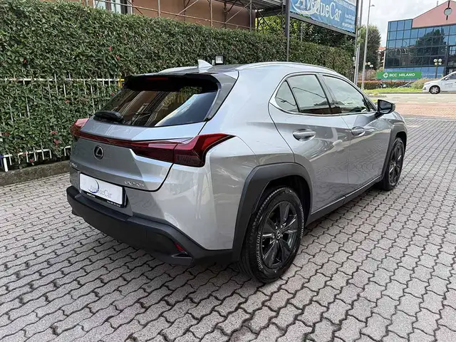 Lexus UX view 5
