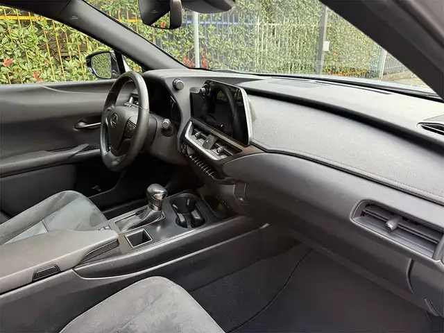 Lexus UX view 25