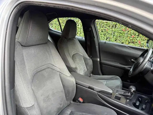 Lexus UX view 24