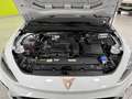 CUPRA Leon 1.5 eTSI 110 DSG Blanco - thumbnail 33