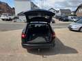 Jaguar XF Sportbrake 2.2 Diesel Ahk Xenon HAGELSCH.!!! Negro - thumbnail 8