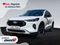 Ford Kuga Plug-In Hybrid Active X - ACC*HUD*360 Weiß - thumbnail 1