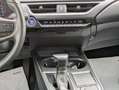 Lexus UX 250h BUSINESS HYBRID 2.0cc 152cv SAFETYPACK Grigio - thumbnail 10