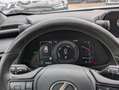 Lexus UX 250h BUSINESS HYBRID 2.0cc 152cv SAFETYPACK Grigio - thumbnail 9
