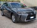 Lexus UX 250h BUSINESS HYBRID 2.0cc 152cv SAFETYPACK Grigio - thumbnail 3