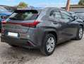 Lexus UX 250h BUSINESS HYBRID 2.0cc 152cv SAFETYPACK Grigio - thumbnail 4