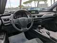 Lexus UX 250h BUSINESS HYBRID 2.0cc 152cv SAFETYPACK Grigio - thumbnail 6