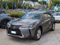 Lexus UX 250h BUSINESS HYBRID 2.0cc 152cv SAFETYPACK Grigio - thumbnail 2