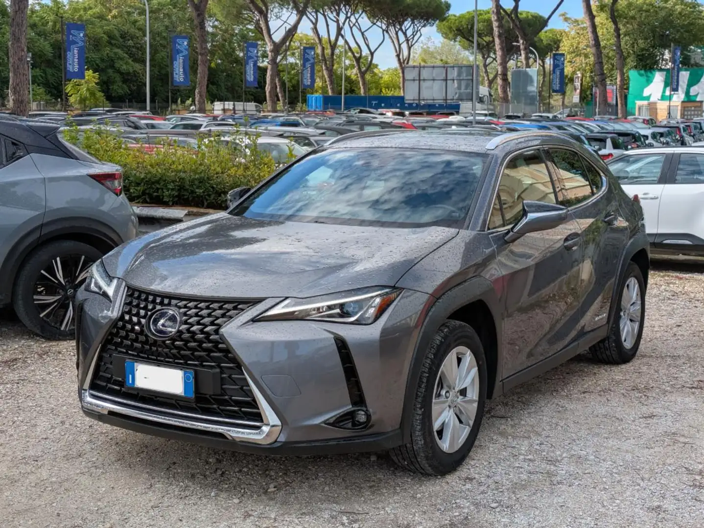 Lexus UX 250h BUSINESS HYBRID 2.0cc 152cv SAFETYPACK Grigio - 2