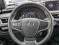 Lexus UX 250h BUSINESS HYBRID 2.0cc 152cv SAFETYPACK Grigio - thumbnail 15