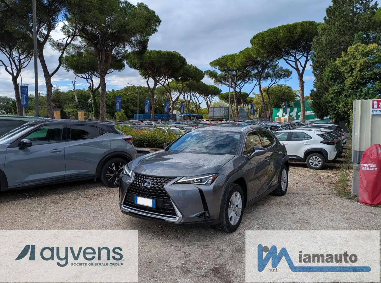 Lexus UX 250h BUSINESS HYBRID 2.0cc 152cv SAFETYPACK Grigio - 1