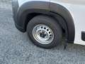 Opel Movano Pritsche DK BlueHDi 140 S&S 35+ L4 Weiß - thumbnail 4