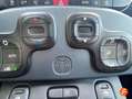 Fiat Panda Hybrid 1.0 Gse 51kw (70CV) Rojo - thumbnail 20