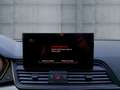 Audi Q5 40 TDI QU S-TR S-LINE LED+NAVI+AHK+GRA+SHZ+VC Grün - thumbnail 11