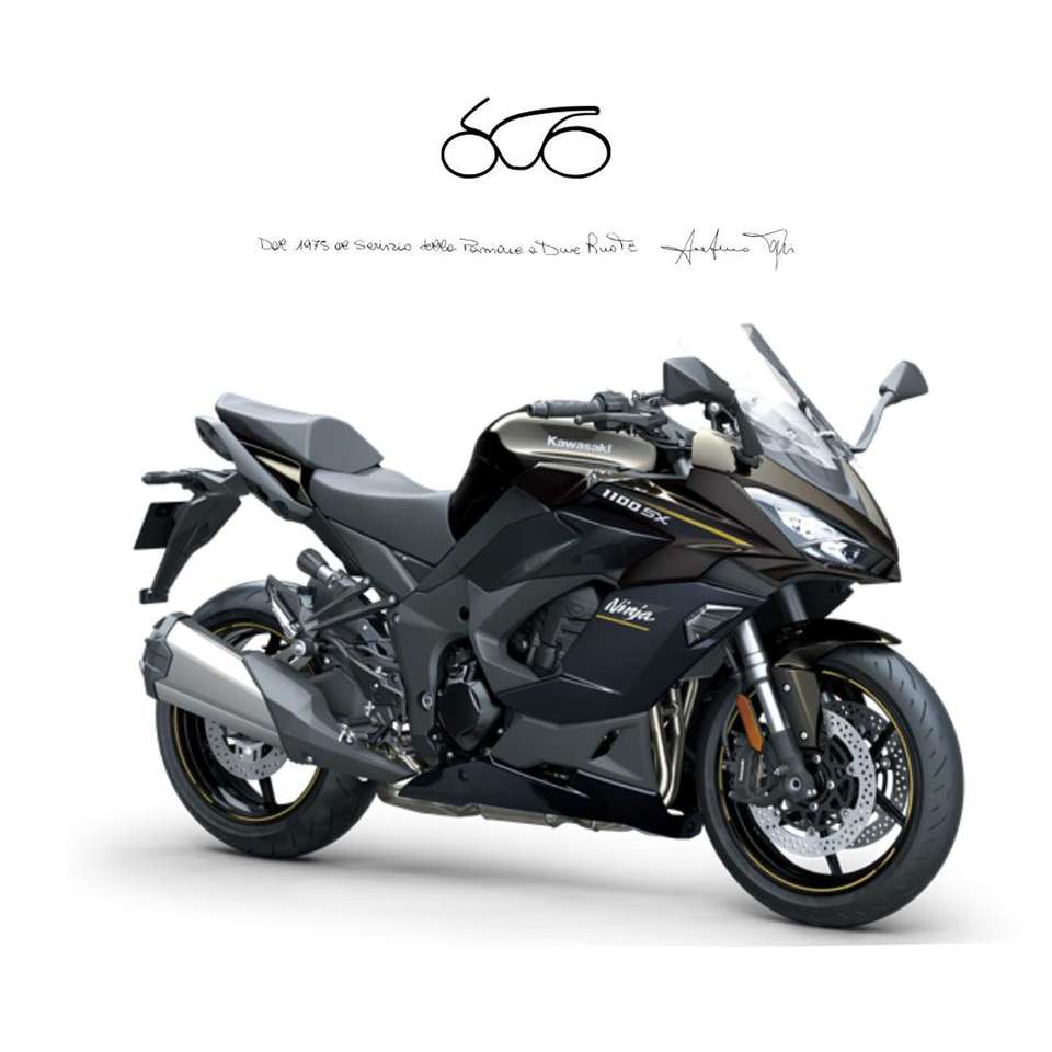 Kawasaki Ninja 1100SX .