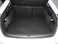 Skoda Octavia Limousine 1.4 TSI iV DSG Memory HUD ACC Weiß - thumbnail 19