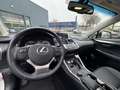 Lexus NX 300h AWD Sport Edition NL-AUTO SCHUIFDAK AD-CRUISE STOE Blanc - thumbnail 14
