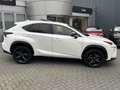 Lexus NX 300h AWD Sport Edition NL-AUTO SCHUIFDAK AD-CRUISE STOE Blanc - thumbnail 9