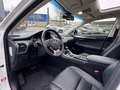 Lexus NX 300h AWD Sport Edition NL-AUTO SCHUIFDAK AD-CRUISE STOE Blanc - thumbnail 11