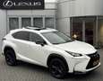 Lexus NX 300h AWD Sport Edition NL-AUTO SCHUIFDAK AD-CRUISE STOE Blanc - thumbnail 1