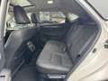 Lexus NX 300h AWD Sport Edition NL-AUTO SCHUIFDAK AD-CRUISE STOE Blanc - thumbnail 31