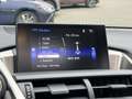 Lexus NX 300h AWD Sport Edition NL-AUTO SCHUIFDAK AD-CRUISE STOE Blanc - thumbnail 21