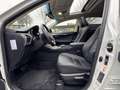 Lexus NX 300h AWD Sport Edition NL-AUTO SCHUIFDAK AD-CRUISE STOE Blanc - thumbnail 16
