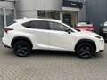 Lexus NX 300h AWD Sport Edition NL-AUTO SCHUIFDAK AD-CRUISE STOE Blanc - thumbnail 2