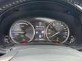 Lexus NX 300h AWD Sport Edition NL-AUTO SCHUIFDAK AD-CRUISE STOE Blanc - thumbnail 22
