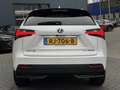 Lexus NX 300h AWD Sport Edition NL-AUTO SCHUIFDAK AD-CRUISE STOE Blanc - thumbnail 4