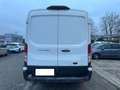 Ford Transit L2-H2 2.0TDCi EcoBlue 170 aut. Furgone Trend Bianco - thumbnail 4