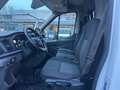 Ford Transit L2-H2 2.0TDCi EcoBlue 170 aut. Furgone Trend Bianco - thumbnail 6
