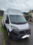 Fiat Ducato Fg. Maxi 35 2.3Mjt L4 H3 180CV - thumbnail 1