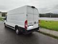 Fiat Ducato Fg. Maxi 35 2.3Mjt L4 H3 180CV - thumbnail 2