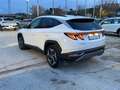 Hyundai TUCSON Tucson 1.6 HEV aut.Exellence Blanc - thumbnail 6