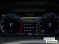 Skoda Scala Drive 1.0 TSI 85 KW DSG Gris - thumbnail 21