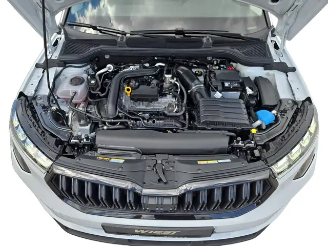 Skoda Kamiq view 12