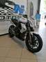 Kawasaki Weiß - thumbnail 4