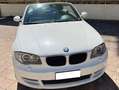 BMW 118 118d Cabrio 2.0 Eletta 143cv Bianco - thumbnail 8