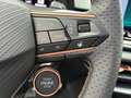 CUPRA Terramar 1.5 e-TSI 150 PS DSG Blau - thumbnail 12